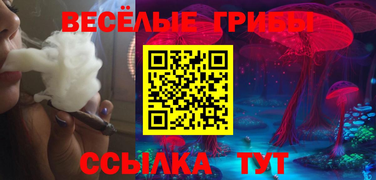 Качканар  Псилоцибиновые грибы MAGIC MUSHROOMS  Псилоцибиновые грибы MAGIC MUSHROOMS  Вход с VPN 