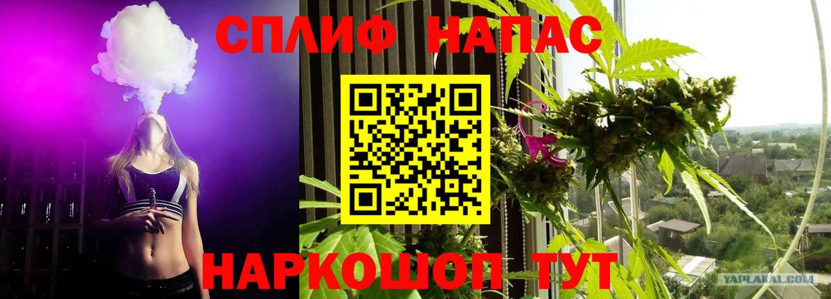 Бошки Шишки гибрид Качканар